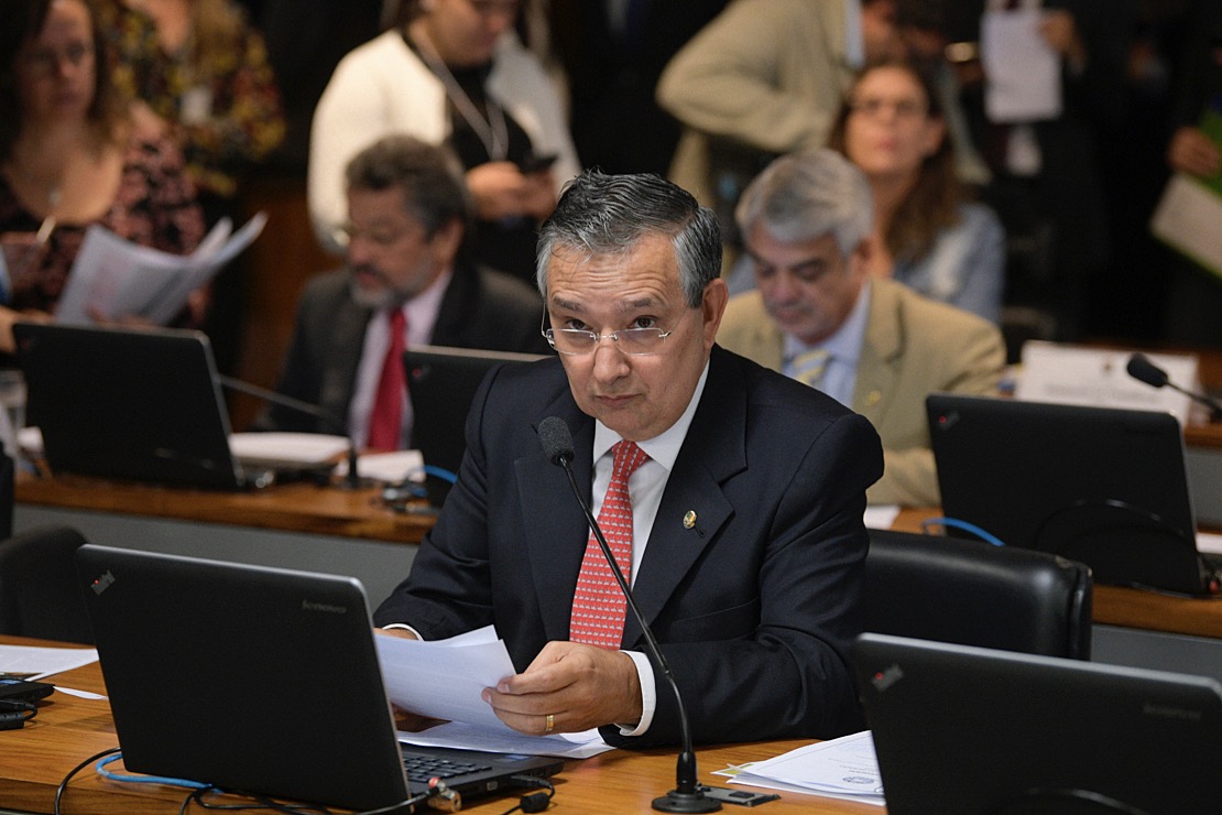 Eduardo Amorim confirma convite a Danielle Garcia › NE Notícias