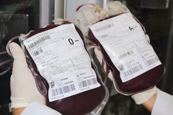 doacao sangue hemose