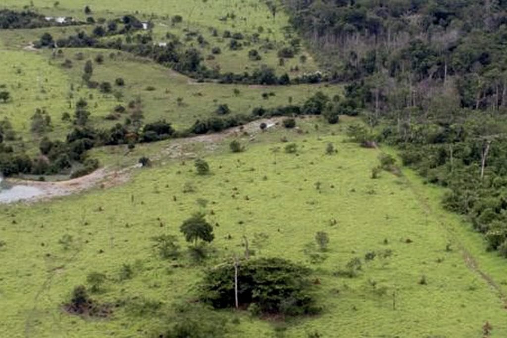 propriedade rural