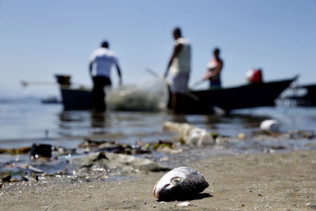 pesca peixe pescador