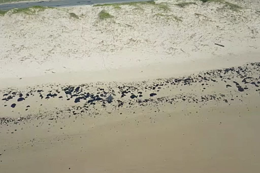 praia oleo ibama