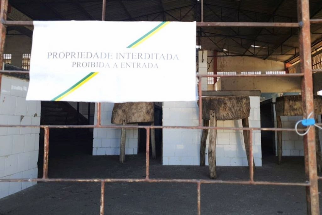 mercado porto da folha