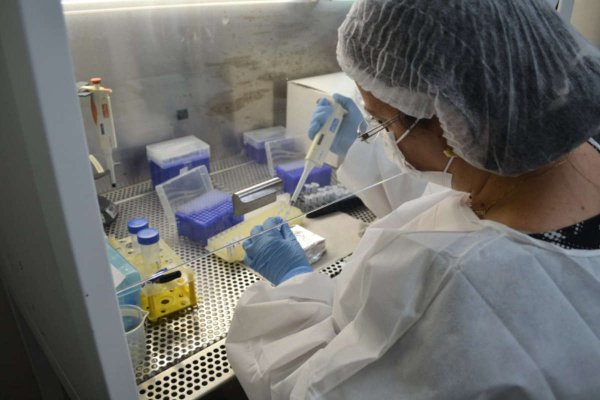 teste coronavirus
