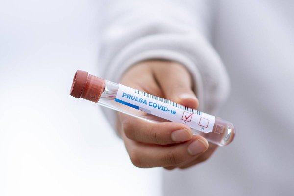 coronavirus covid