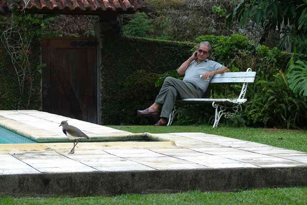 pedro oswaldo cruz