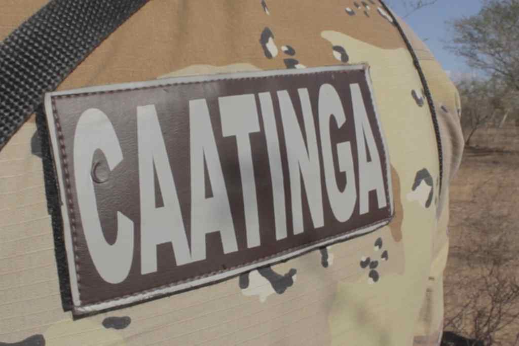 caatinga