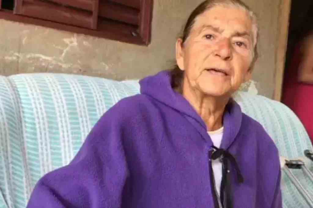 maria aparecida firmo ferreira