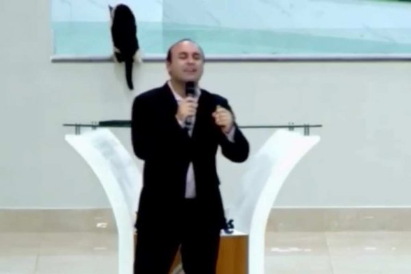 gato igreja