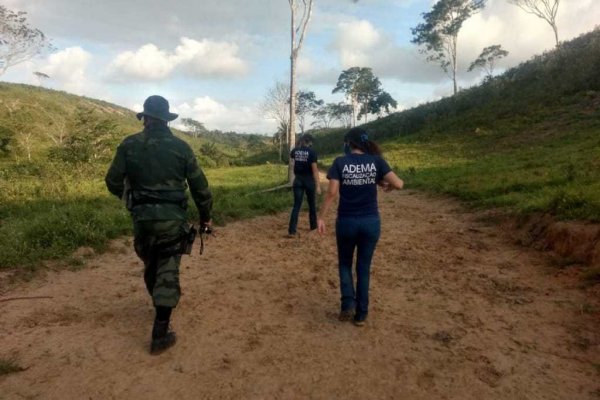 Operação “Mata Atlântica em Pé”