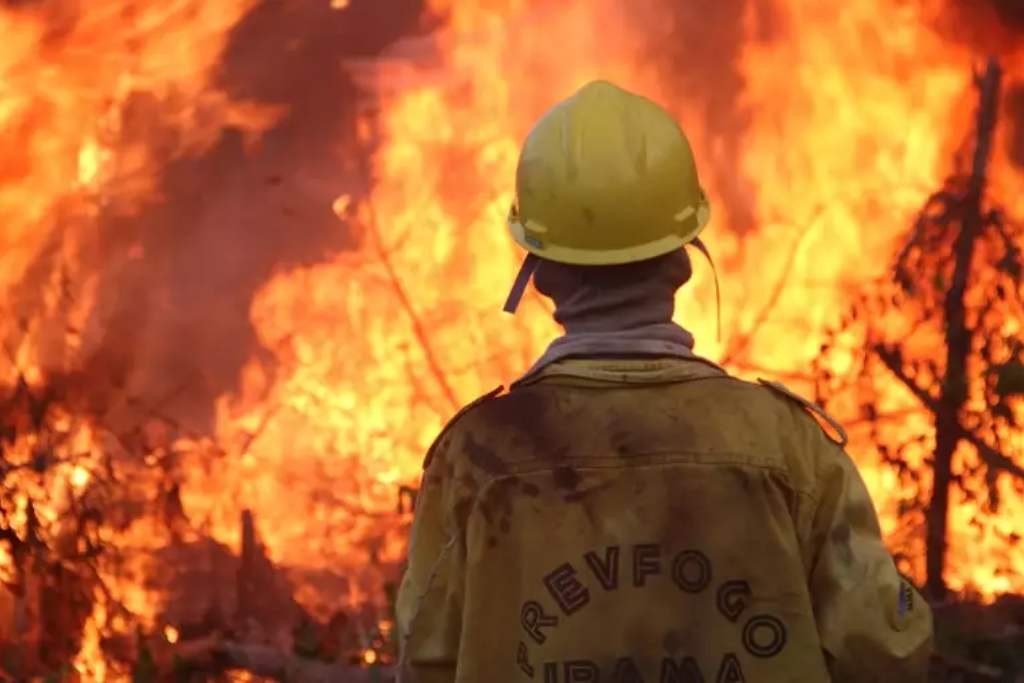 prev fogo incendio florestal