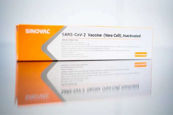 coronavac vacina