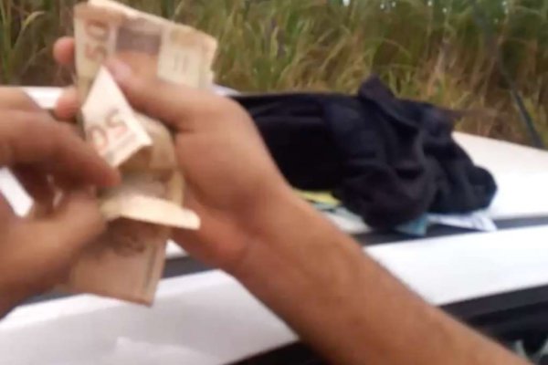 flagrante cristinapolis zebrinha