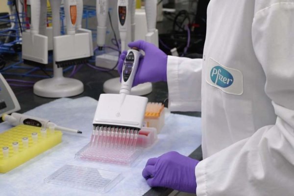 pfizer vacina