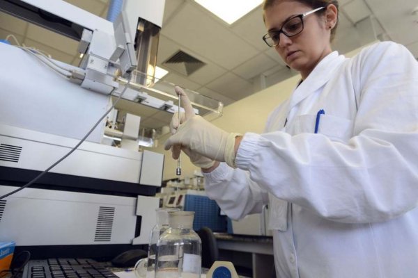 cientista saude virus fungo