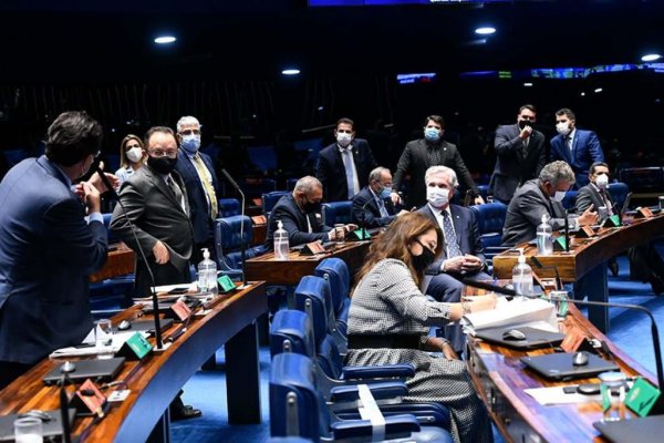 senadores 2020