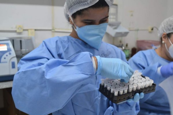teste rt pcr covid