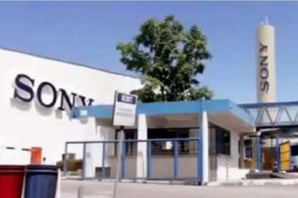 sony brasil