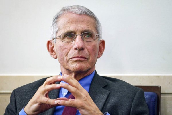 anthony fauci