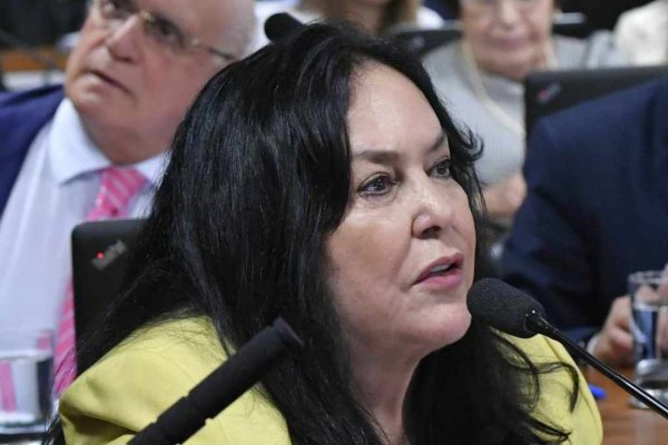 senadora rose freitas