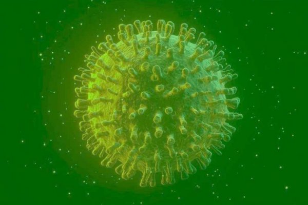 covid coronavirus pandemia