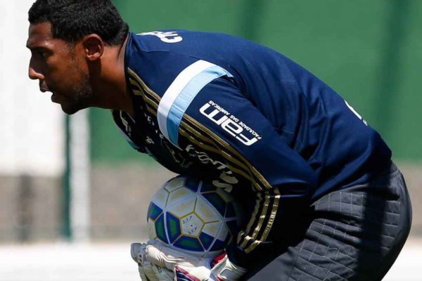 goleiro aranha