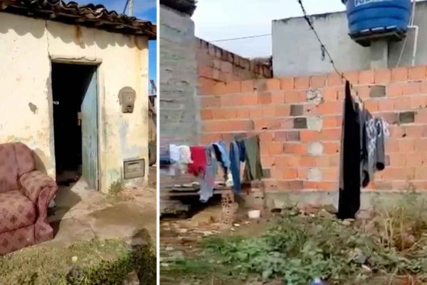 kitty lima egua senhora a