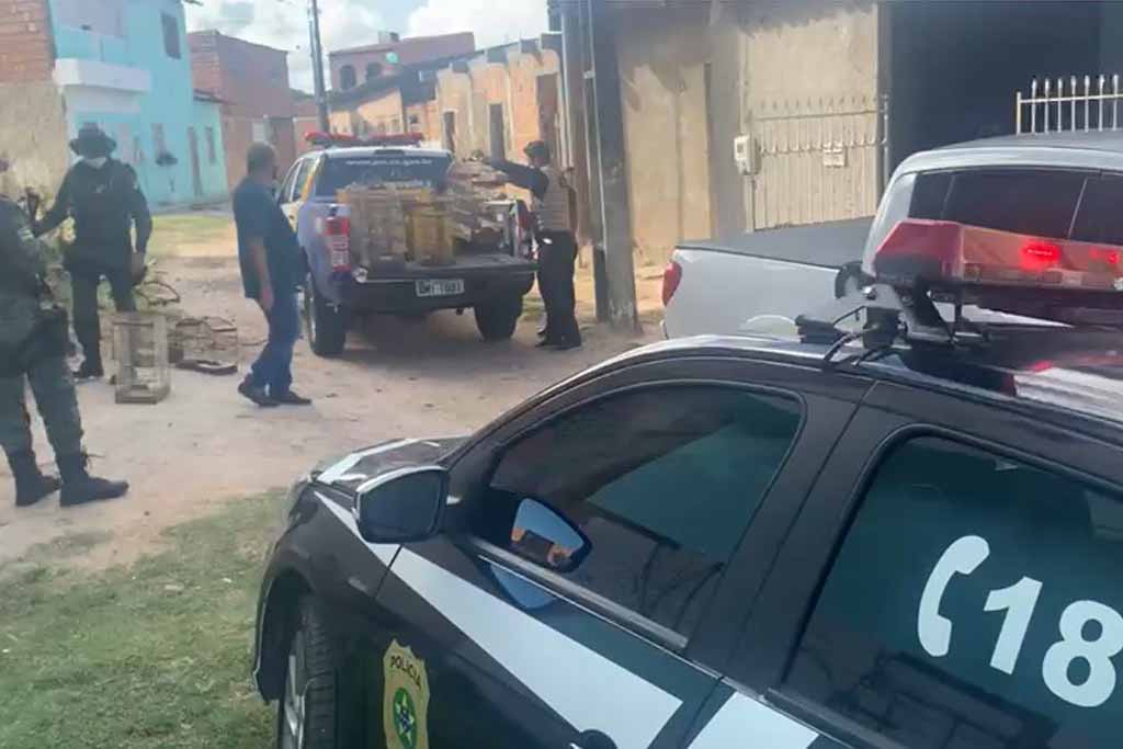 Policia Civil Passaros Silvestres