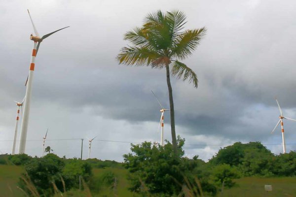 Céu nublado em Sergipe. Na imagem, hélices de energia eólica e coqueiros