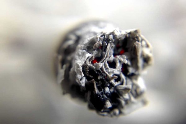 cigarro cinza
