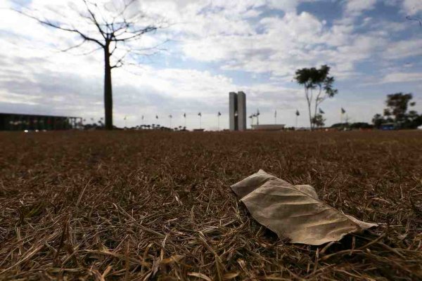 outono brasil brasilia folha
