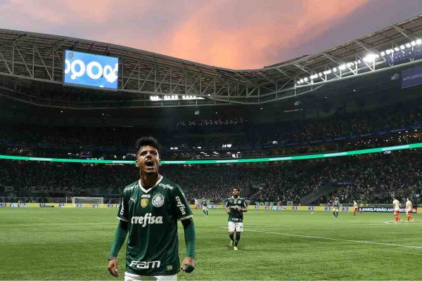 palmeiras 24072022