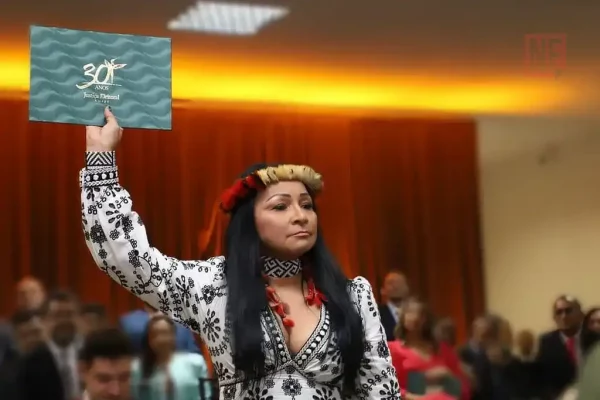 Silvia Waiapi