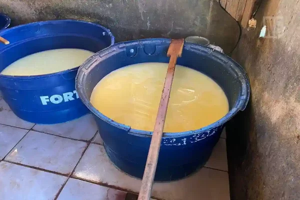 Queijaria Itabi Interditada jul 23