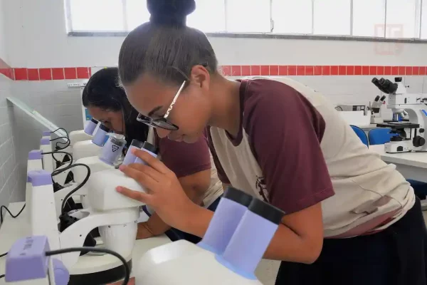 cursos tecnicos se 2023