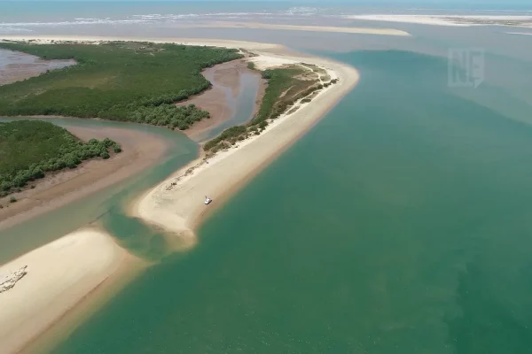 Ilha praia Viral 2023