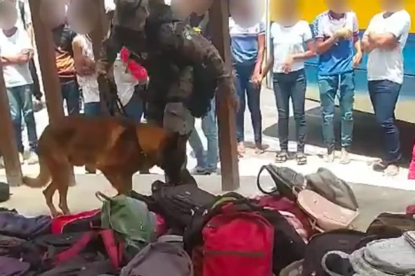 PM Cachorro estudantes 2023