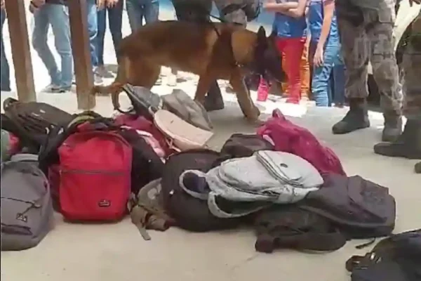 PM Cachorro estudantes 2023 b