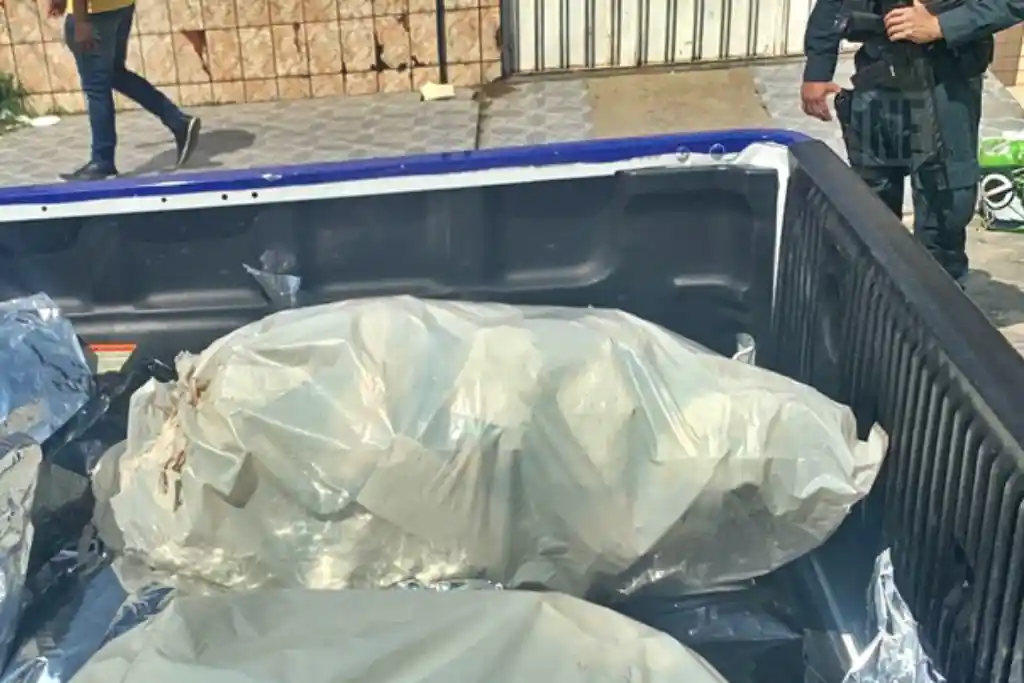 Polícia Militar de Sergipe apreende 38 Kg de maconha avaliada em 500 mil reais