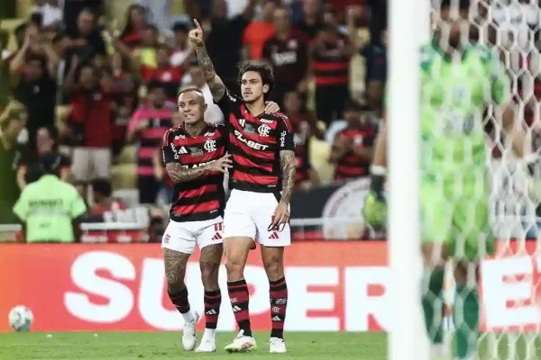 Pedro comemora gol do Flamengo