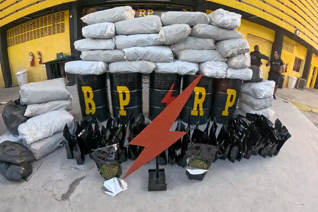 Quatro presos em Aracaju com 290 kg de “flor da maconha”