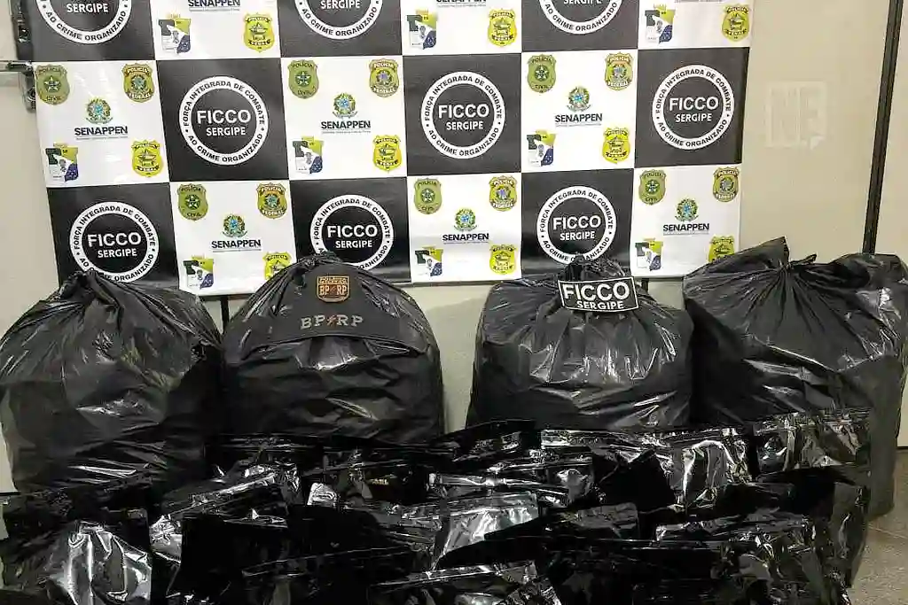 Ficco apreende 110kg de maconha em