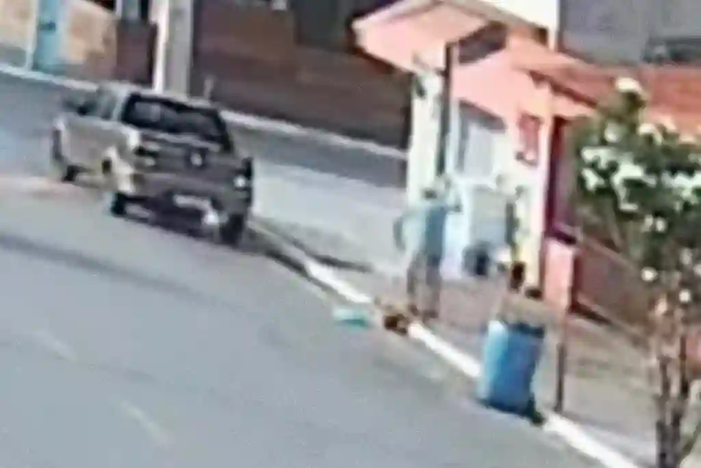 Câmeras de segurança flagram cão sendo esfaqueado na Grande Aracaju