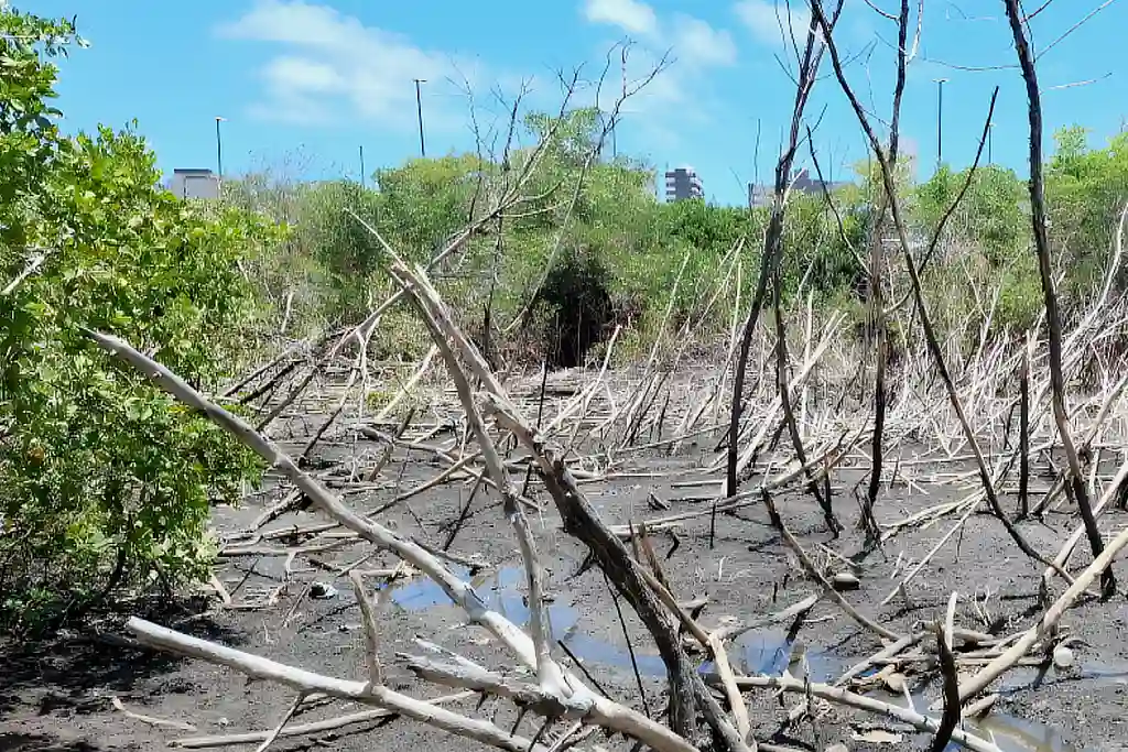Degradação do Parque Ecológico do Tramandaí, em Aracaju