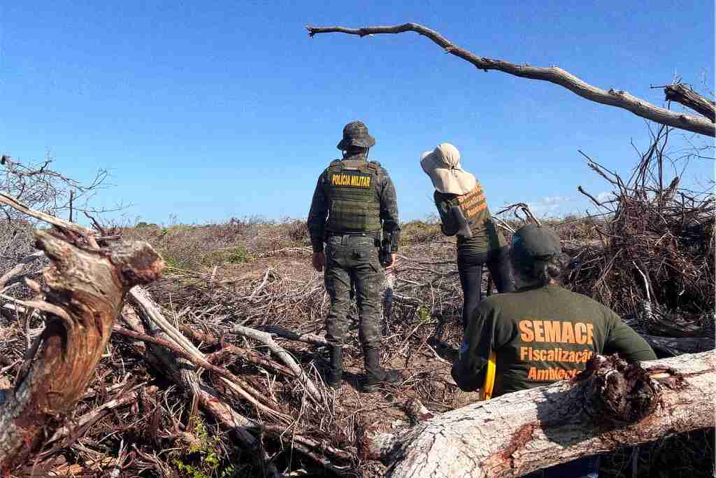 Caatinga resiste: R$ 1,3 milhão em multas 2 Operação Caatinga Resiste no combate ao desmatamento ilegal em Sergipe
