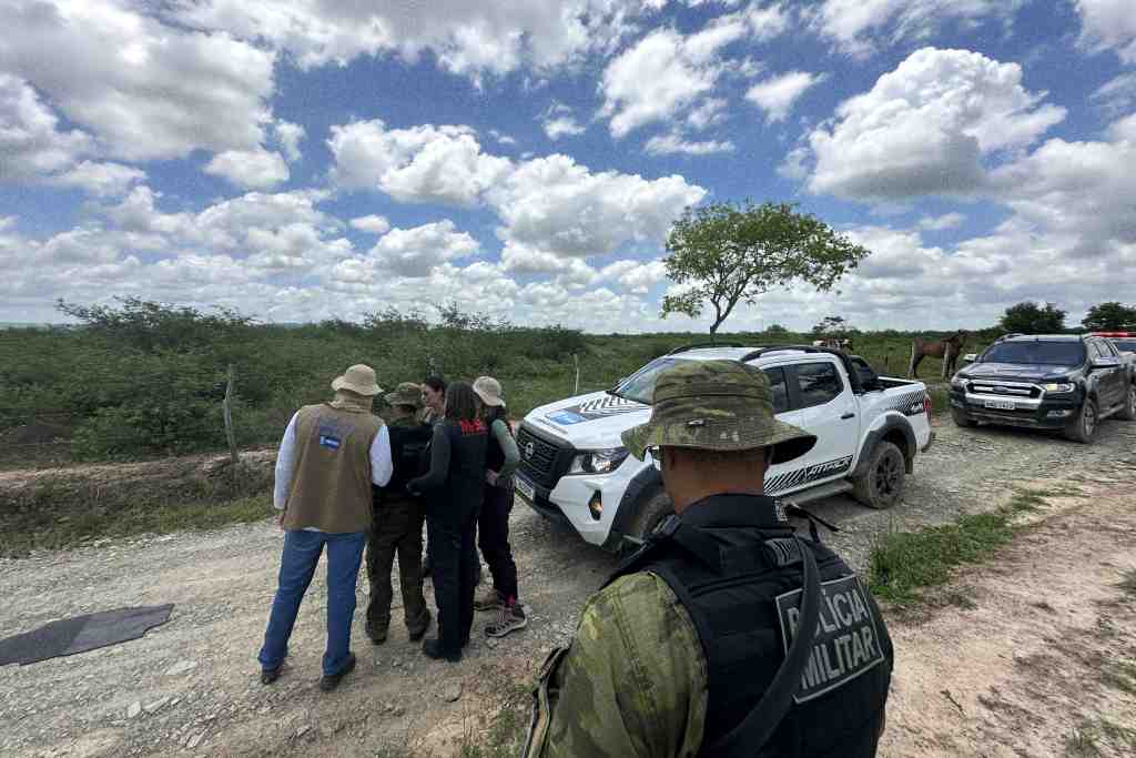 Caatinga resiste: R$ 1,3 milhão em multas 1 Operação Caatinga Resiste no combate ao desmatamento ilegal em Sergipe
