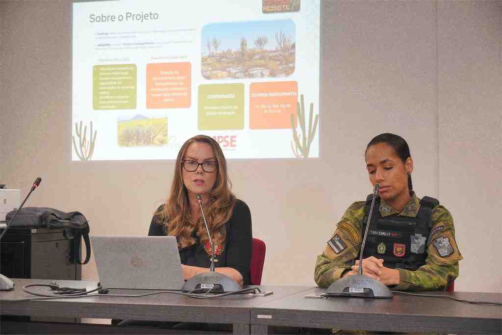 Caatinga resiste: R$ 1,3 milhão em multas 3 Promotora Aldeleine Barbosa durante coletiva sobre Operação Caatinga Resiste em Sergipe