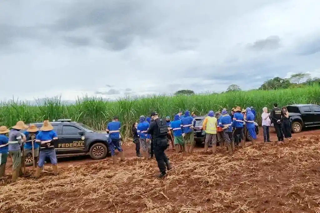 Amado Batista na lista de trabalho escravo 1 Trabalhadores resgatados em trabalho análogo à escravidão em Goiás