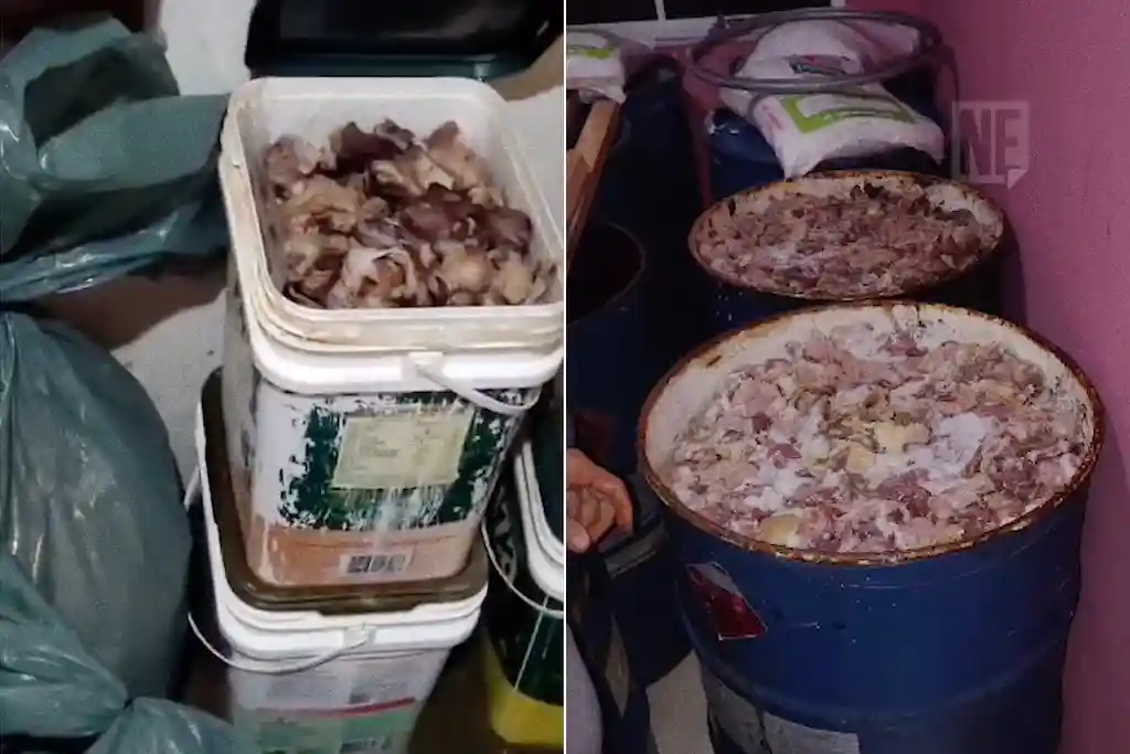 Polícia apreende 8 toneladas de carne irregular em Lagarto 1 Polícia Civil de Sergipe apreende 8 toneladas de carne irregular em Lagarto