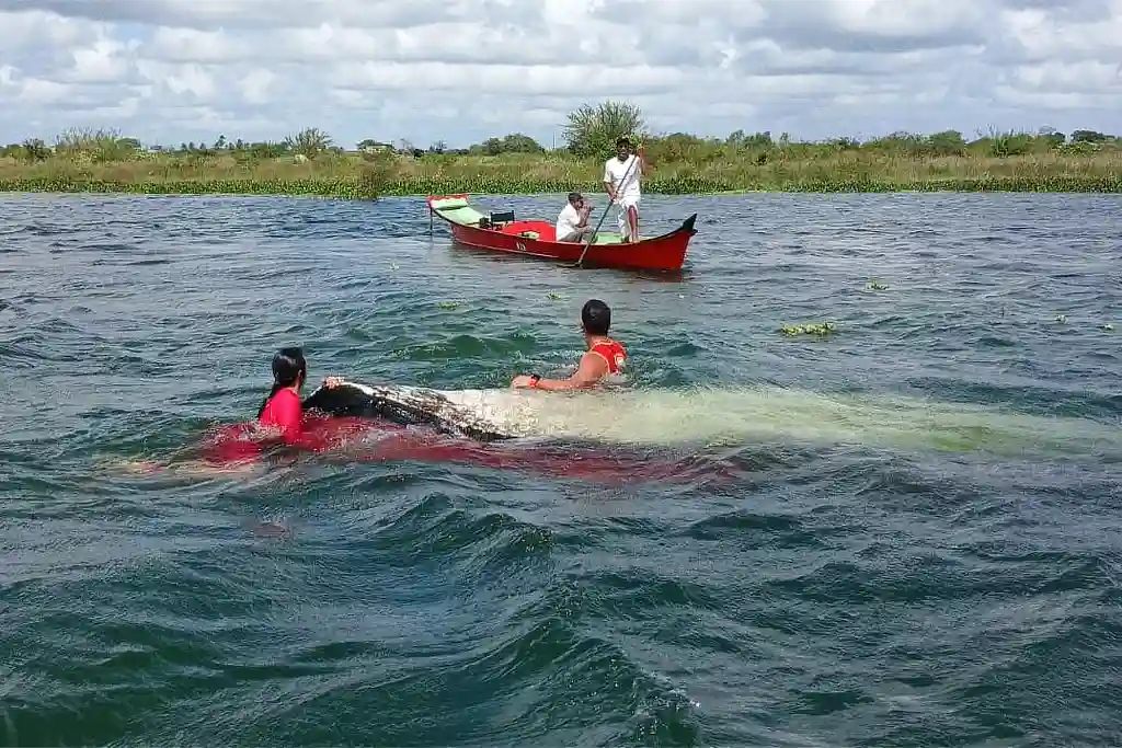 Mulher some no Rio São Francisco após barco virar em Sergipe 1 Mulher some no Rio São Francisco após barco virar em Sergipe